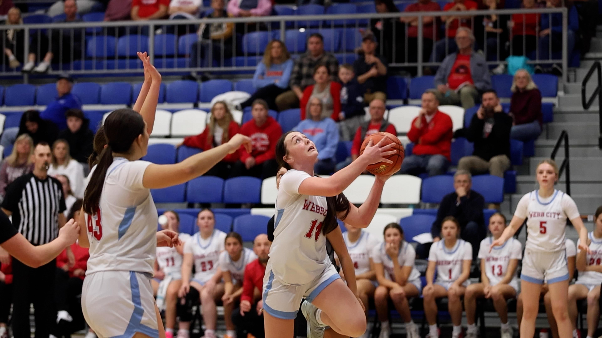 Lady Cardinals - Willard Districts Basketball 030226