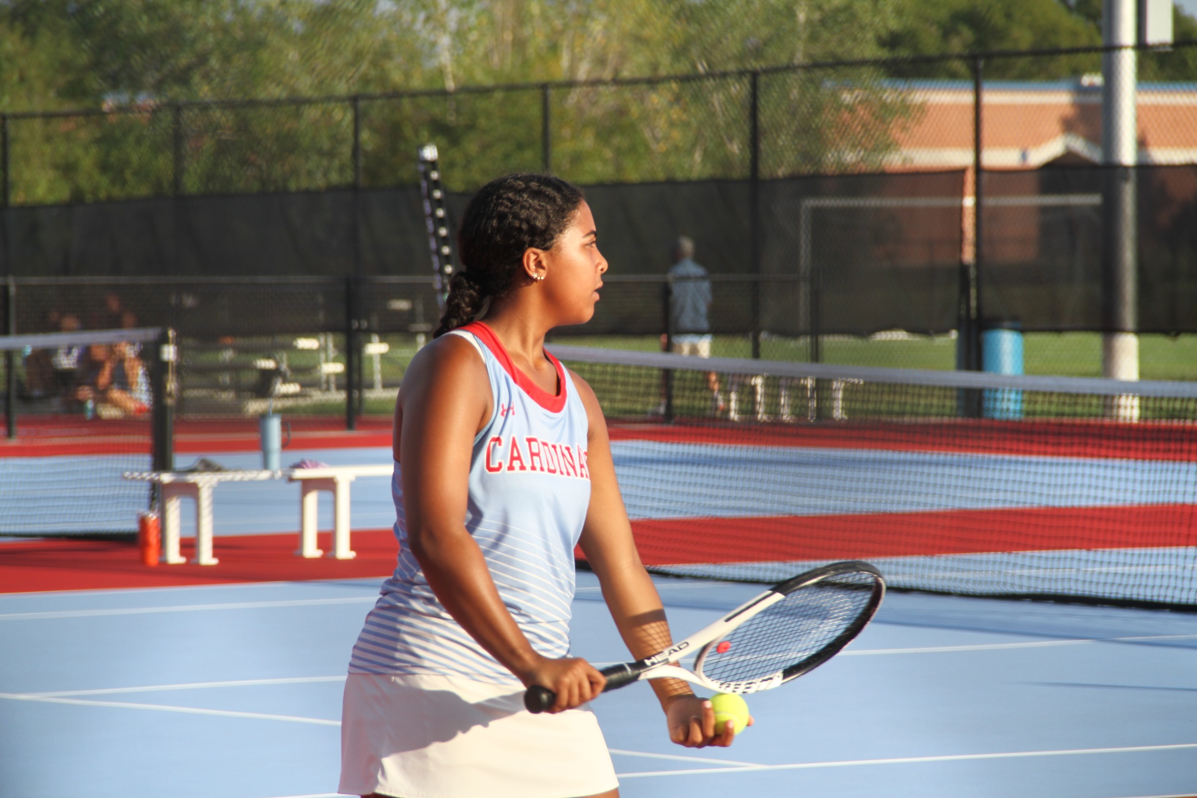 Webb City defeats Willard 5-4